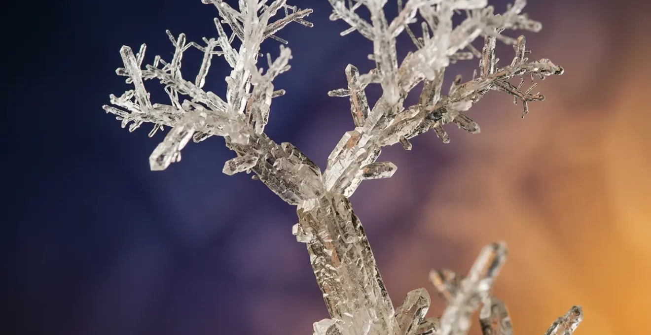 Vue macro d'une structure cristalline en forme d'arbre hiérarchique représentant l'architecture Hn d'un contenu web optimisé